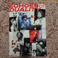 三代目 ECHOES of DUALITY LIVE TOUR 2024ポスター