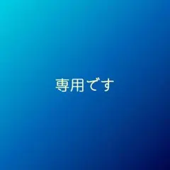 ひさ親父 様　専用　カラフルサボテン『ギムノカリキウム　緋牡丹錦』