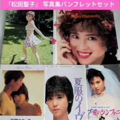 松田聖子 コンサートツアー2025 パンフレット - メルカリ
