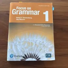 Focus on Grammar