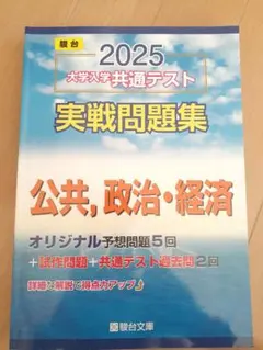 駿台文庫 2025 共通テスト実践問題集 公共 政治・経済