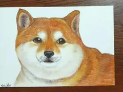 色鉛筆画 アート・写真