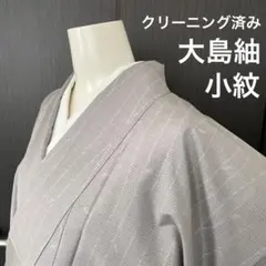 大島紬 小紋 袷 着物 クリーニング済み たとう紙付き