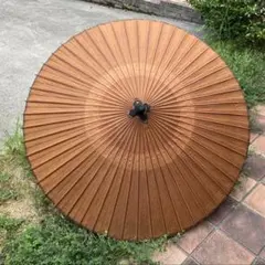 Item thumbnail for item 6773d197-2ecb-4d5c-878a-75f103e744e2