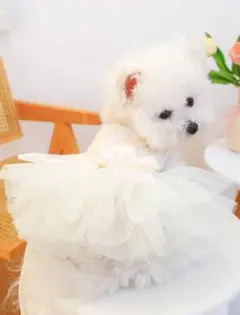 小型犬用フリル付きホワイトドレス　猫用ドレス　Sサイズ　ウェディング
