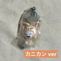 ジニレット SKZOO つまんでつなげてますこっと vol.2 つまつな