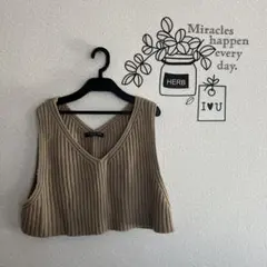 ベージュ、ビスチェ、ショート丈、HONEYSUCKLE ROSE