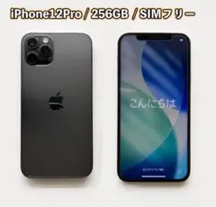 Apple iPhone 12 Pro 256GB グラファイト SIMフリー