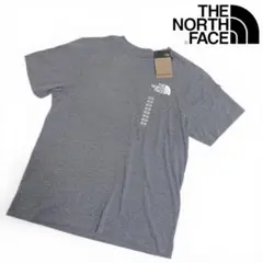 US限定 ノースフェイス XL ハーフドーム 両面ロゴ 半袖Tシャツ グレー
