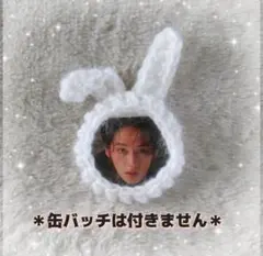 StrayKids skzoo ぬい服 缶バッチケース リービット