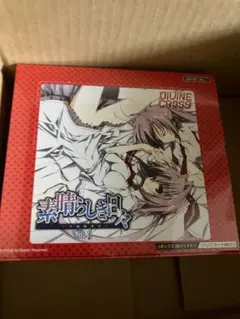 a1 DIVINECROSS 素晴らしき日々 未開封　BOX
