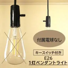 天井照明 ペンダントライト 1灯 ブラック E26 スイッチ付き コード50cm