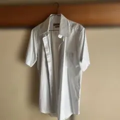 Item thumbnail for item 3b756729-ce78-46c3-bcf5-520f49f000a2