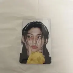 straykids スキズ フィリックス KARMA トレカ