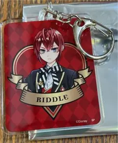 ツイステットワンダーランド/制服/ブラインドアクリルキーホルダー/A/リドル