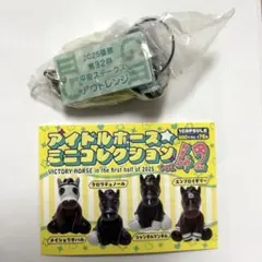 2026年最新】アイドルホースミニの人気アイテム - メルカリ