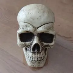 2026年最新】骸骨 灰皿の人気アイテム - メルカリ