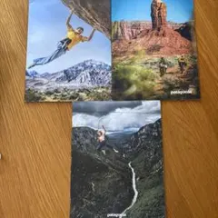 patagonia パタゴニア　シーズンカタログ　 2015 / 2016