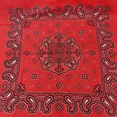 Item thumbnail for item 71c02eb6-c09b-4669-93aa-9c01e392986e