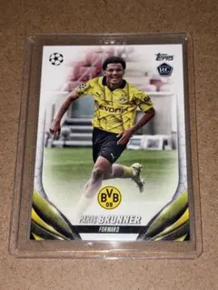 Item thumbnail for item caaf408f-2f9c-486c-9054-8dac4d5f74cd