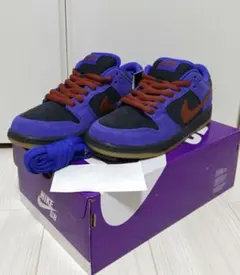 NIKE SB DUNK LOW PRO 