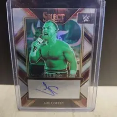 Item thumbnail for item b21af194-e493-4515-be69-607da5c2bf90