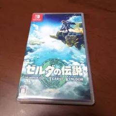 ゼルダの伝説　ティアーズ　オブ　ザ　キングダム　ニンテンドースイッチ
