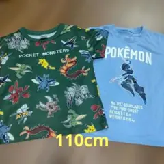 ポケモン半袖Tシャツ110cm・2枚セット