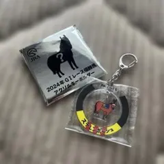 桜花賞馬ステレンボッシュ　2024年GIレース馬アクリルキーホルダー