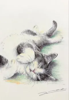 猫の絵　原画