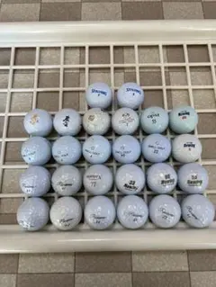 Item thumbnail for item 732faeca-f8e8-415c-84a0-9876e9fd4145