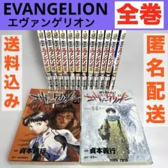 新世紀エヴァンゲリオン 全巻セット 14巻　送料込み　匿名配送　漫画　コミック