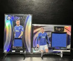 Item thumbnail for item 625dbddc-8993-4800-806b-bf843ffe8000