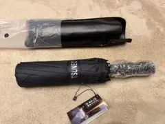 Item thumbnail for item 2d31a80a-c118-4108-a95c-506fc2c82c11