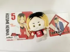 キノコス　Kozume Kenma ぬいぐるみ カード付き　孤爪研磨