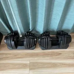 REP Fitness】可変式ダンベル 30Kg×2 埼玉引取限定 - メルカリ