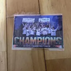 長崎ヴェルカB.LEAGUE FINALS 2025-26 優勝記念ステッカー - メルカリ
