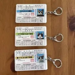 Item thumbnail for item 7254ce8a-5872-4e43-b8db-e6108bffd7f0