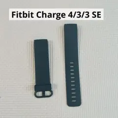 Fitbit Charge 4/3/3 SE バンドベルト ブルー シリコン