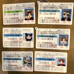 Item thumbnail for item 6370aaee-8d9d-4df4-9c92-c19e16c98b51