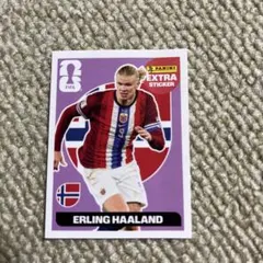貴重】FIFA WORLD CUP 2026 ハーランド ステッカー - メルカリ