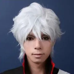 銀魂 坂田銀時 ウィッグ コスプレ - メルカリ