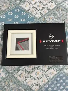 DUNLOP フォトフレーム 1P F-5073 ダンロップのサムネイル