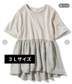 フェリッシモ　ペプラムＴシャツ　汗ジミ軽減加工　３Ｌ　グレイッシュベージュのサムネイル