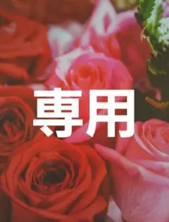 かず様専用2点おまとめ 他の方は購入をお控えください