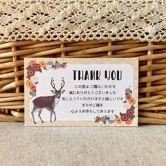 선큐 카드 밤비
