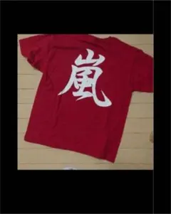 嵐 フェス 嵐山 Ｔシャツ まとめ売り 記念日