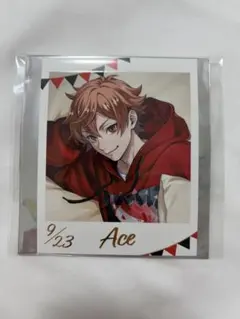 ツイステ フォト風カード くつろぎマイルーム エース