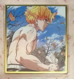 鬼滅の刃 WEBSHOPくじ アクリル色紙 我妻善逸 B20 | Mercari