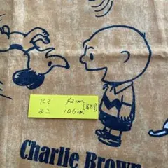 やまちゃんむつ様 リクエスト 2点 まとめ商品